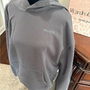Hollister Gray Hoodie Men's